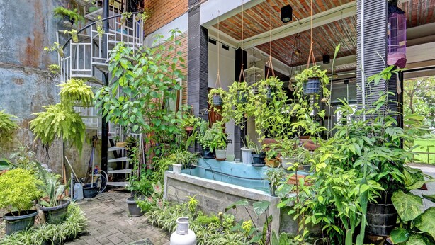 Un patio con varias plantas en macetas, un jarrón blanco y una escalera que lleva a un balcón.