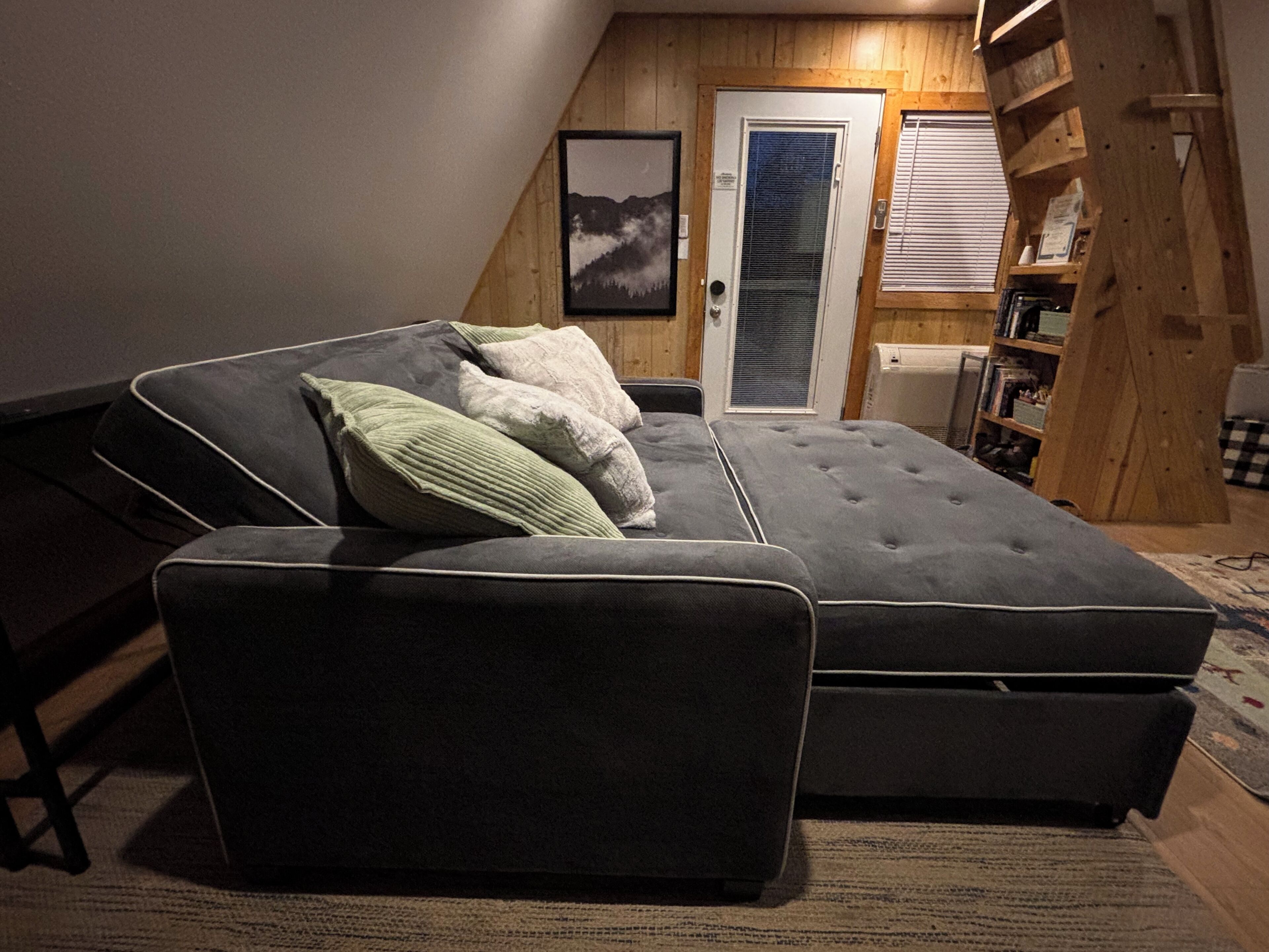 A cozy bedroom with a sofa bed, a framed picture on the wall, and a wooden bookshelf.