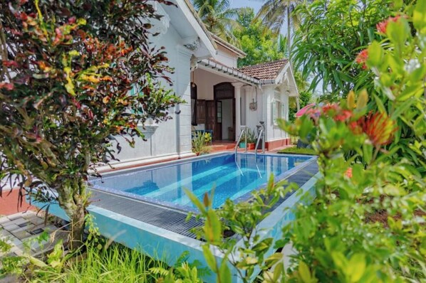 Outdoor pool, sun loungers