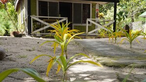 A small house with a metal roof and a porch. - White Sandy Beach Eco Lodge (Naviti Island)
