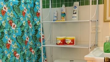 Secador de pelo, toallas, jabón, papel higiénico