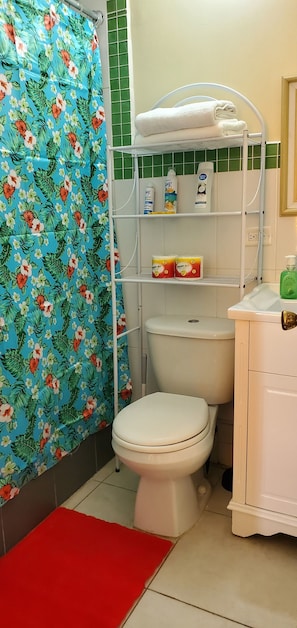 Hair dryer, towels, soap, toilet paper