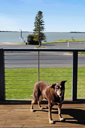 Property grounds - Swans Shorehouse, Retro 60's Shack by the River (Goolwa South)