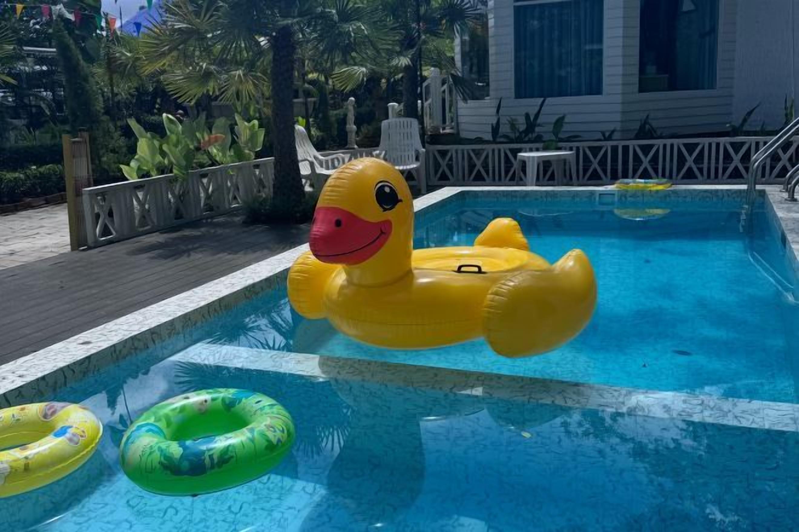 A swimming pool with inflatable duck toys and a green ring float.
