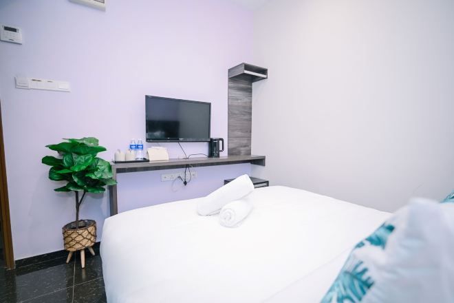 A hotel room with a bed, a television on a stand, a small plant, and a wall-mounted heater.
