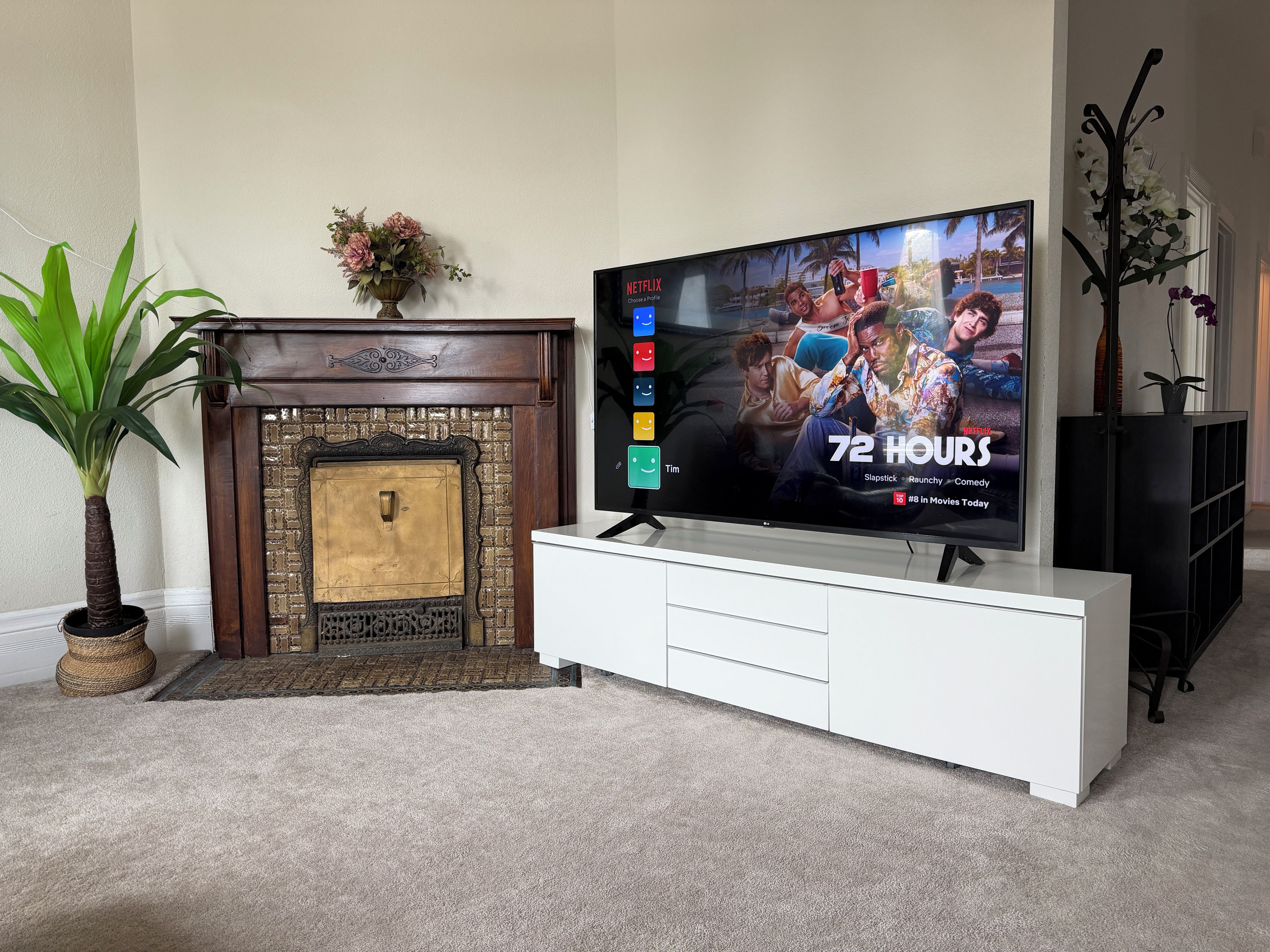 Una sala de estar con una televisión de pantalla plana sobre un mueble blanco, una chimenea y una planta en maceta.