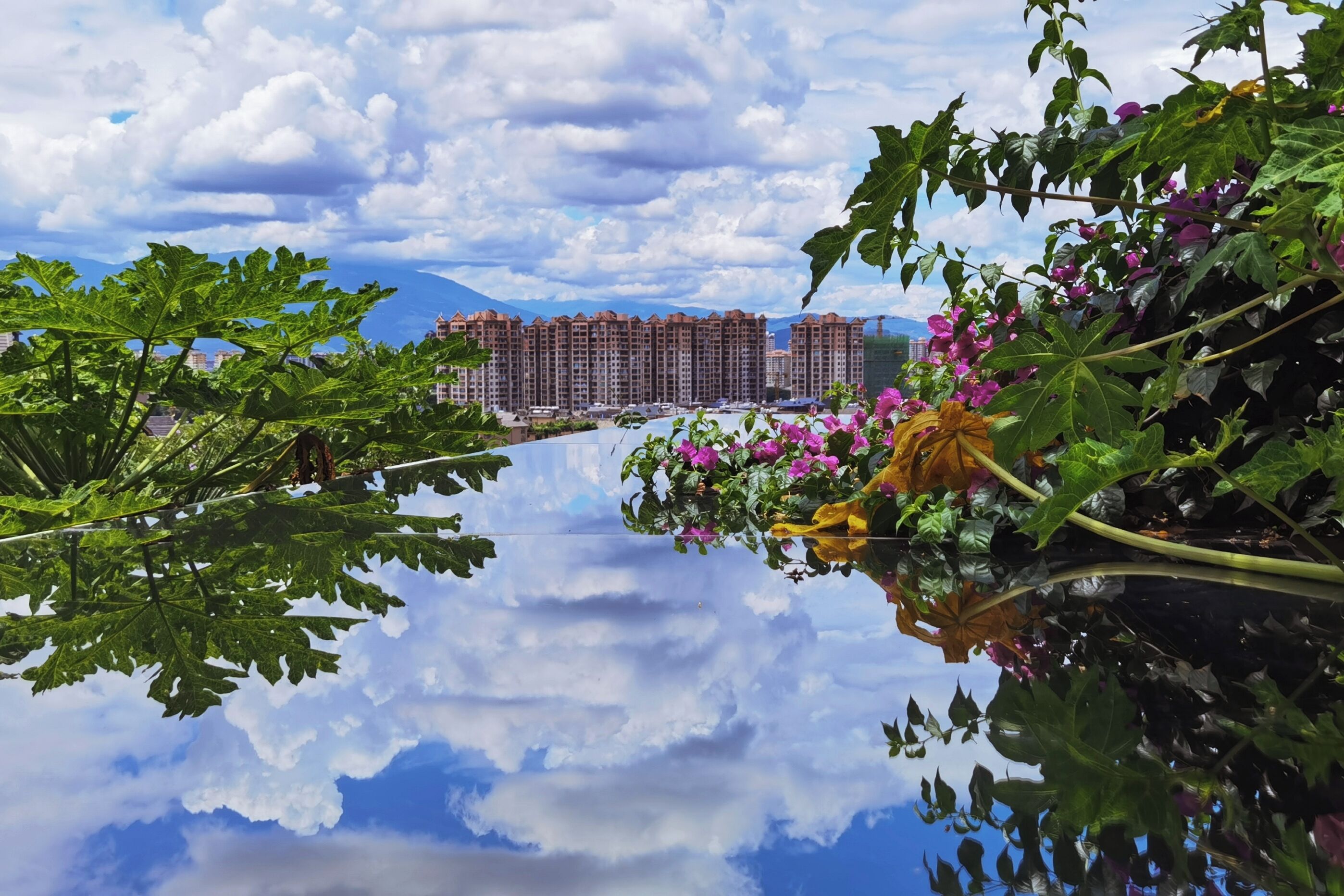 庭園景