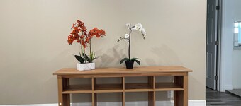 Alameda Modern Victorian 2BD unit D