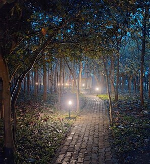 Interior - MC RESORT BANDIPUR (Chamrajnagar)