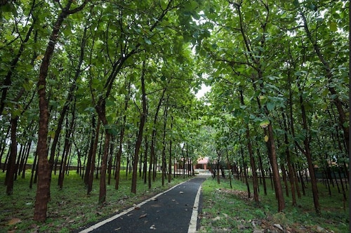 MC RESORT BANDIPUR