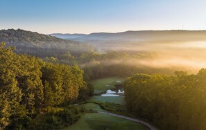 Golf - 2 Elegant Accommodations in Nature's Embrace! Outdoor Pool, Pets Allowed! (Adairsville)
