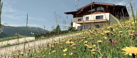 Terrain de lâhĂ©bergement