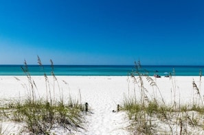 Une plage avec un ciel dégagé, un rivage sablonneux et de hautes herbes.