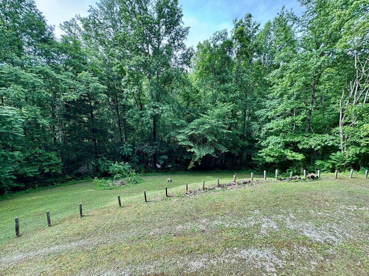 A grassy area with a wooden fence and dense trees in the background.