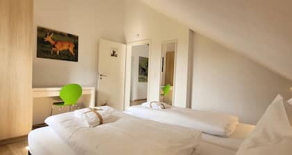 Chalet in Winterberg Near Ski Lift & Adventure