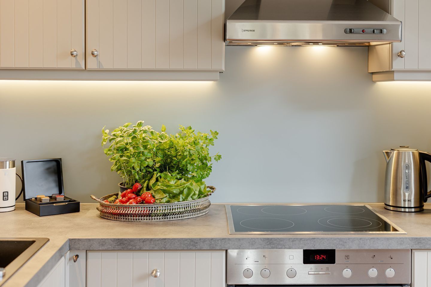 Fridge, oven, dishwasher, coffee/tea maker