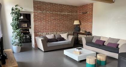Maison toulousaine typique entièrement rénovée