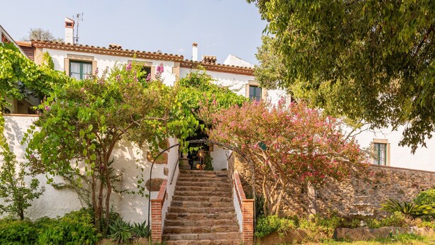 A stone staircase leading to a white building with a tiled roof, surrounded by greenery and flowering plants.