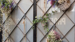 A window with four hanging baskets containing various plants. - Luxury Studio w/ Backyard Near Plaka & Acropolis 3 (Athens)