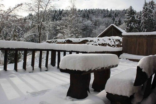 Holiday home in Wutach with swimming pool