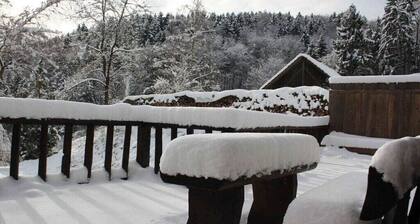 Holiday home in Wutach with swimming pool