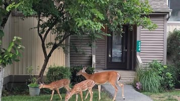 外観の詳細