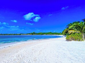 Plage, chaises longues, serviettes de plage
