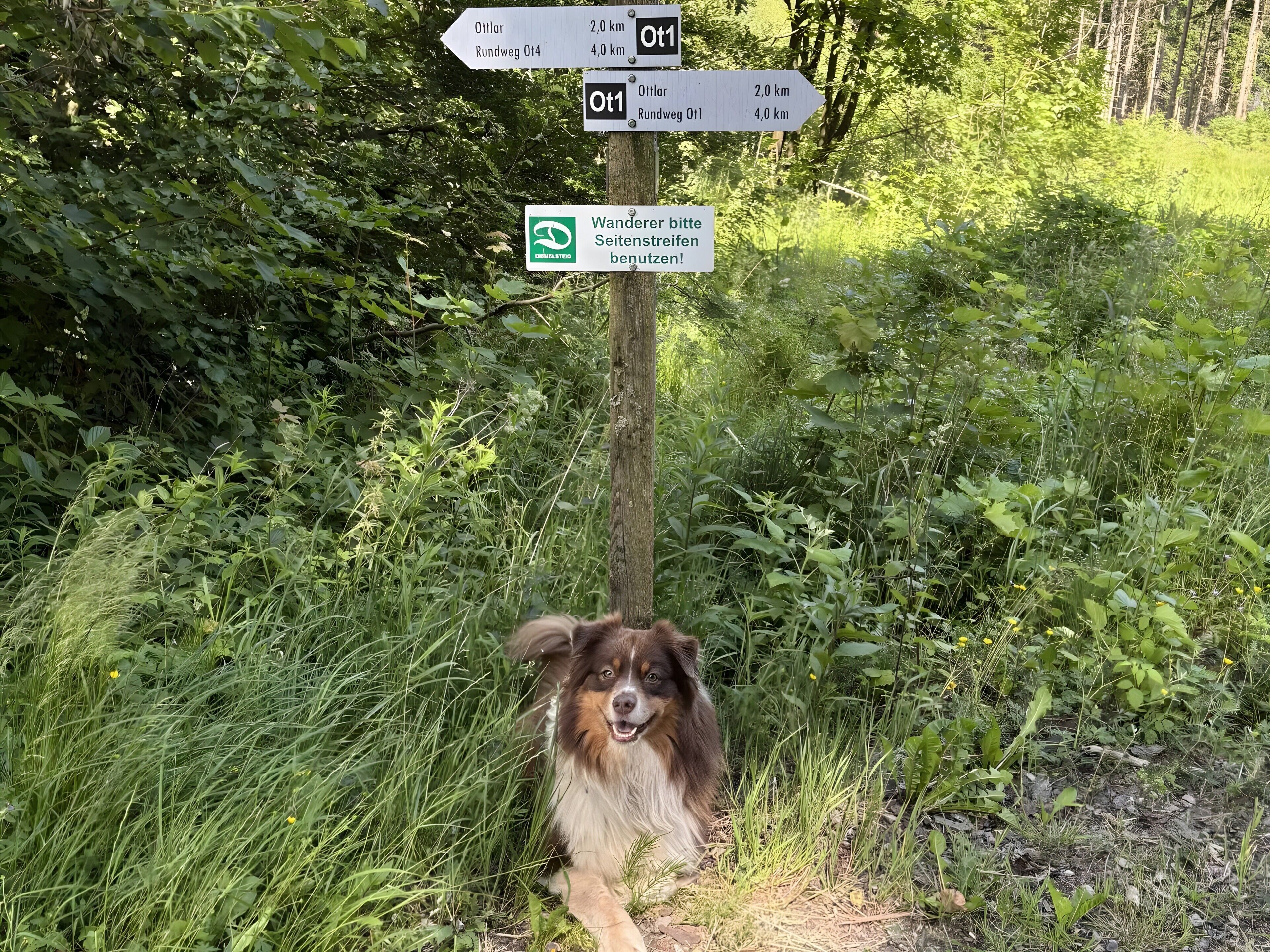 Área da propriedade