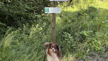 Área da propriedade