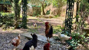 Parco della struttura