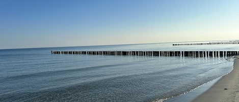 Nära stranden