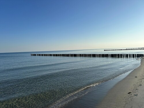50m from the beach - Cozy thatched house in Zingst with garden