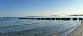 50m from the beach - Cozy thatched house in Zingst with garden