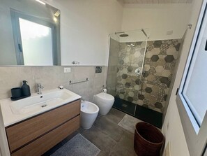 Shower, hair dryer, bidet, towels
