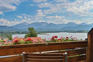 舒适双人房, 不可带宠物, 湖景 | 防过敏的被褥、客房内保险箱、办公桌、笔记本电脑工作区