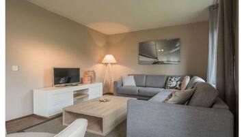 智能電視、壁爐