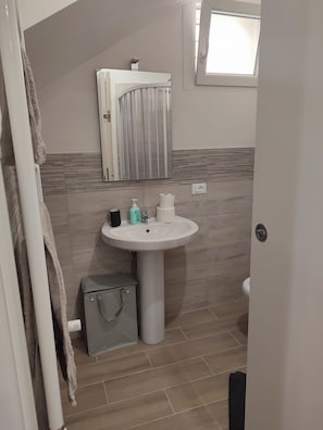 Shower, hair dryer, bidet, towels