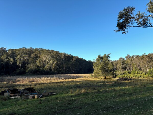 A natural landscape with a grassy field, trees, and a clear blue sky.