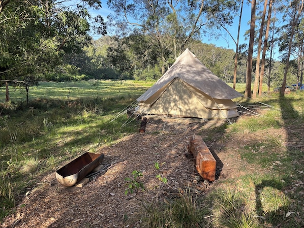 Property grounds - Glamping nature escape at ‘Black Wattle’ 5 minutes from pristine empty beaches (Murrah)