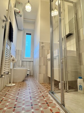 Shower, hair dryer, bidet, towels