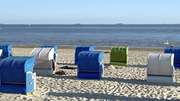 Beach chairs lined up on a sandy beach with a view of the ocean.