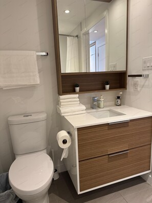 Hair dryer, towels, soap, toilet paper