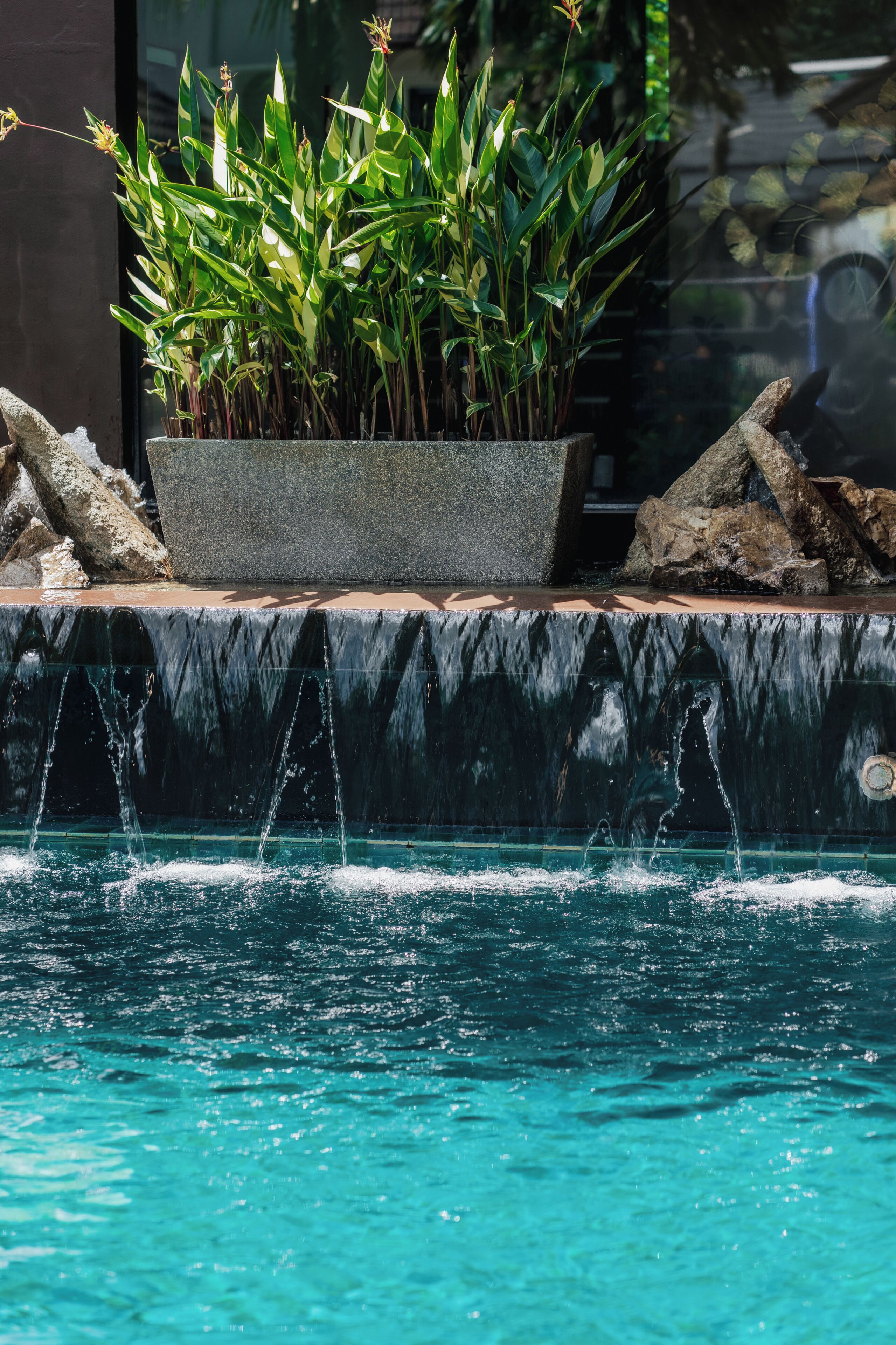 A pool with clear water, a planter with green plants, and a stone ledge.