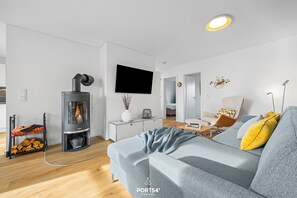 TV, fireplace, books
