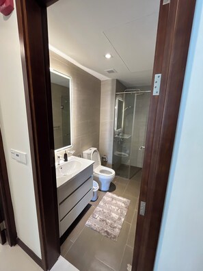 Shower, hair dryer, bidet, towels