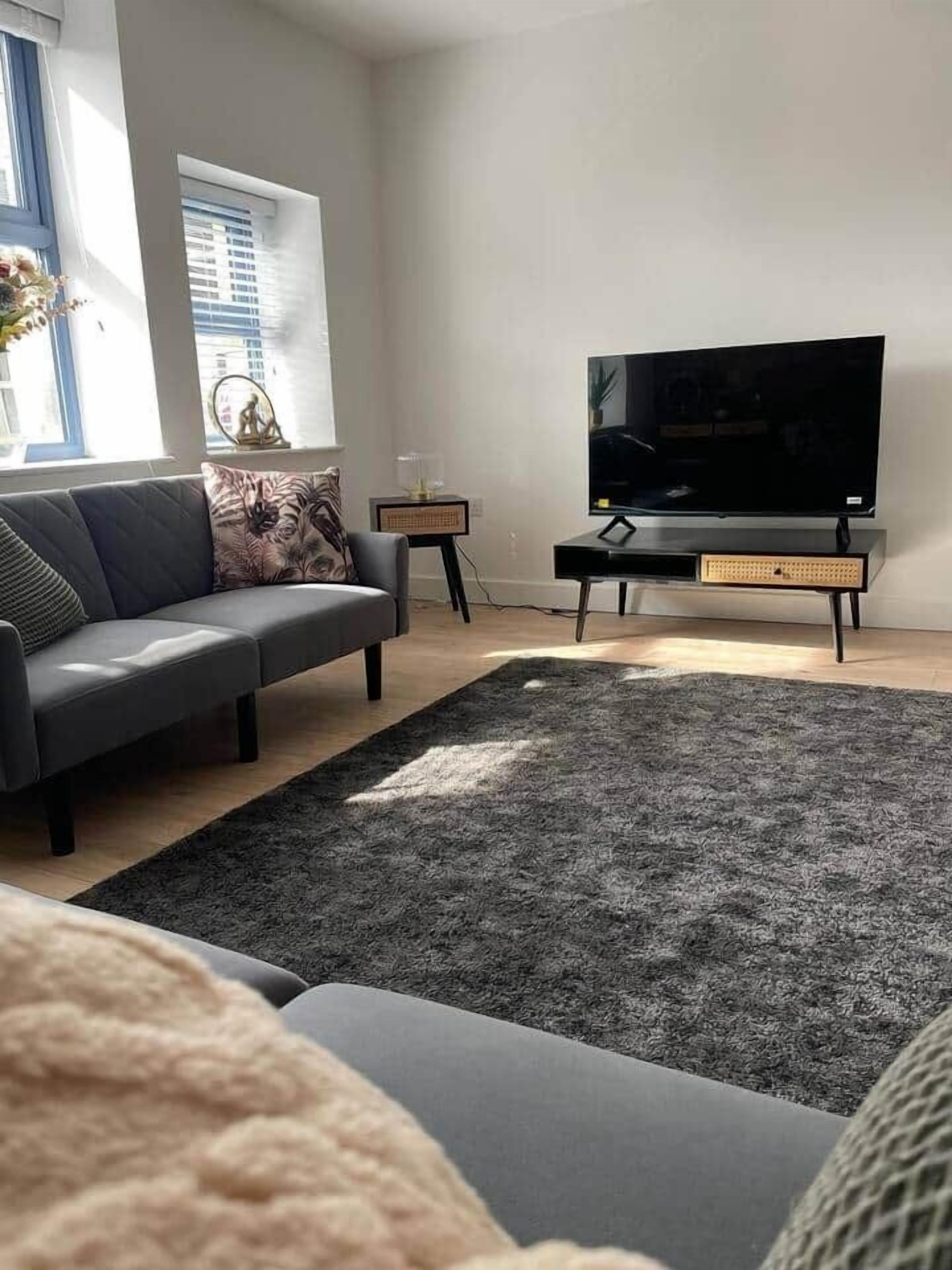 A modern living room with a grey sofa, a large flat-screen TV, and a dark grey rug.
