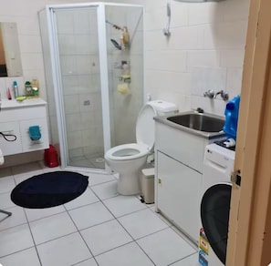 Shower, hair dryer, bidet, towels