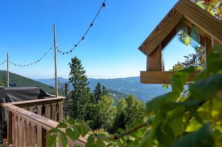 Property grounds. Chalet 'La Rocaille' with Mountain View, Private Terrace and Wi-Fi