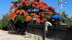 Un arbre aux fleurs rouges, un moulin à vent et un mur de pierre.