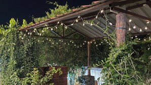 Un espace extérieur aménagé en terrasse, avec une pergola, des guirlandes lumineuses, des plantes en pot et du mobilier d’extérieur.
